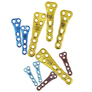 CCWO Plates_3_0.5x_PNG