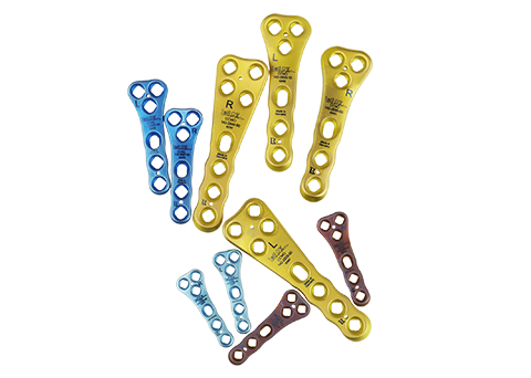 CCWO-slide-image